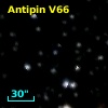 V* V2209 Cyg