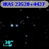IRAS 23520+4427