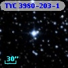TYC 3980-203-1