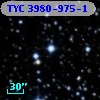 TYC 3980-975-1