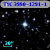 TYC 3980-1291-1