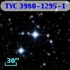 TYC 3980-1295-1