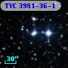TYC 3981-36-1