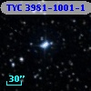 TYC 3981-1001-1