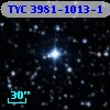 TYC 3981-1013-1