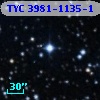 TYC 3981-1135-1