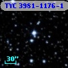 TYC 3981-1176-1