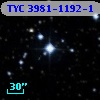 TYC 3981-1192-1