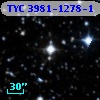 TYC 3981-1278-1