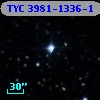 TYC 3981-1336-1