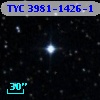 TYC 3981-1426-1