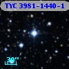 TYC 3981-1440-1