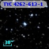 TYC 4262-613-1