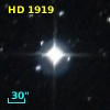 HD   1919