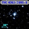 TYC 4262-2185-1