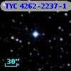 TYC 4262-2237-1