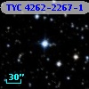 TYC 4262-2267-1