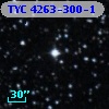 TYC 4263-300-1