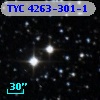 TYC 4263-301-1