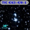 TYC 4263-420-1