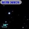 WSTB 36W28