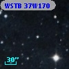 WSTB 37W170