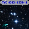 TYC 4263-1239-1