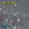 Bol D240