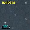 Bol D248