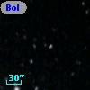 Bol D29