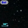Bol D36