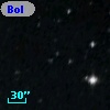 Bol D216