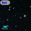 Bol D217