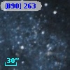 [B90] 263