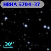 HBHA 5704-37