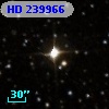 HD 239966