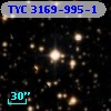 TYC 3169-995-1