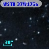 WSTB 37W175a
