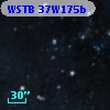 WSTB 37W175b