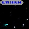 WSTB 36W164