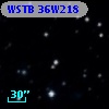 WSTB 36W218