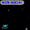 WSTB 36W242