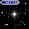 HD 239970