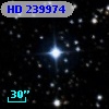 HD 239974