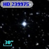 HD 239975