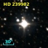 HD 239982