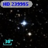 HD 239985