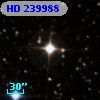 HD 239988