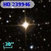 HD 239946