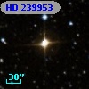 HD 239953
